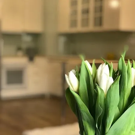 Apartment Active Blue *