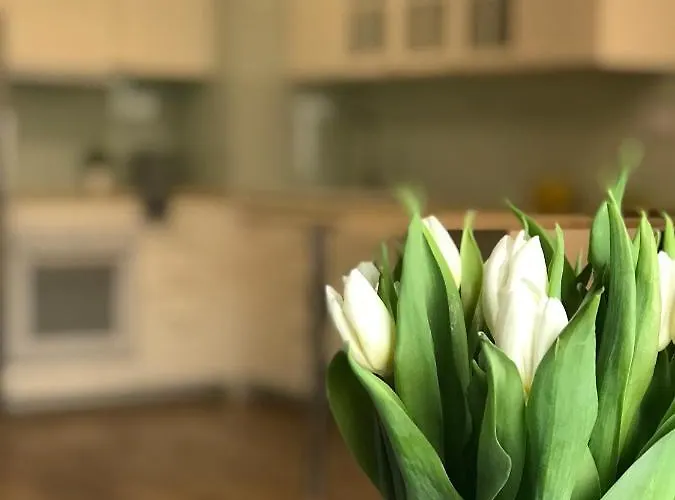 Apartament Active Blue *